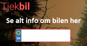 Nummerpladeopslag
